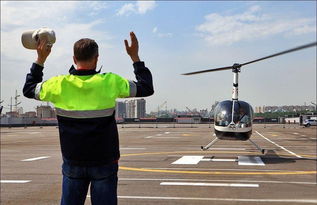 航空信息咨詢 看準網如何助力您的航空職業發展與行業認知